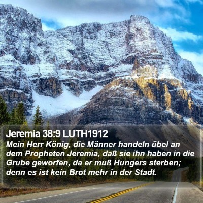 Jeremia 38:9 LUTH1912 Bible Verse Image