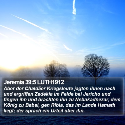 Jeremia 39:5 LUTH1912 Bible Verse Image