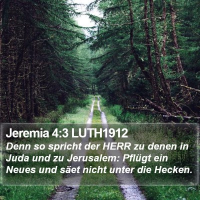 Jeremia 4:3 LUTH1912 Bible Verse Image