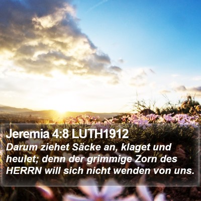 Jeremia 4:8 LUTH1912 Bible Verse Image