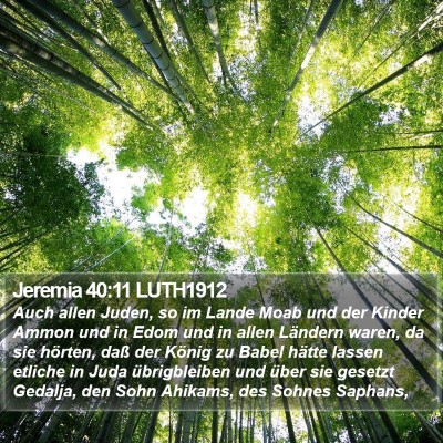 Jeremia 40:11 LUTH1912 Bible Verse Image