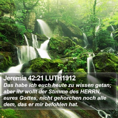 Jeremia 42:21 LUTH1912 Bible Verse Image