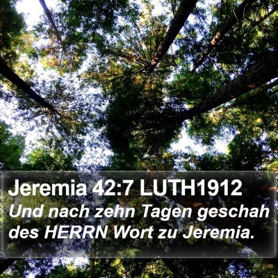 Jeremia 42:7 LUTH1912 Bible Verse Image