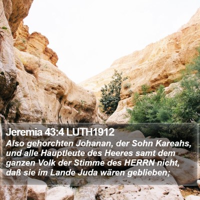 Jeremia 43:4 LUTH1912 Bible Verse Image