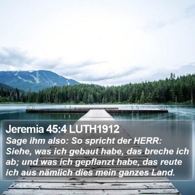 Jeremia 45:4 LUTH1912 Bible Verse Image