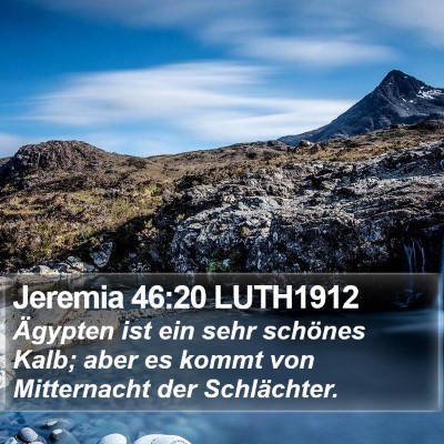 Jeremia 46:20 LUTH1912 Bible Verse Image