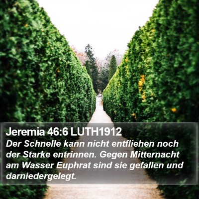 Jeremia 46:6 LUTH1912 Bible Verse Image