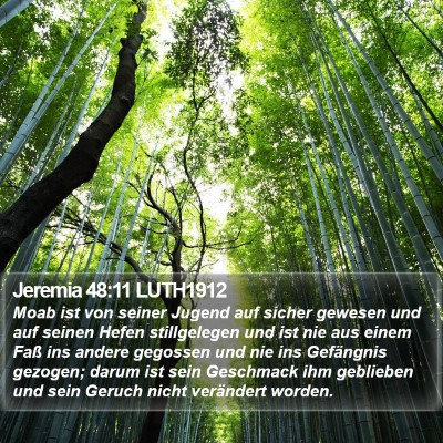 Jeremia 48:11 LUTH1912 Bible Verse Image