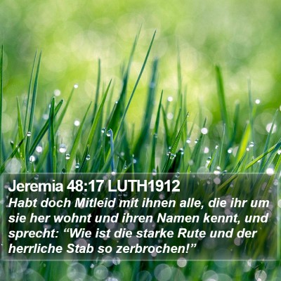Jeremia 48:17 LUTH1912 Bible Verse Image