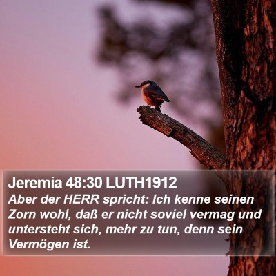 Jeremia 48:30 LUTH1912 Bible Verse Image