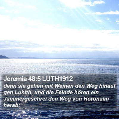 Jeremia 48:5 LUTH1912 Bible Verse Image