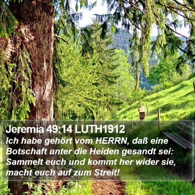 Jeremia 49:14 LUTH1912 Bible Verse Image