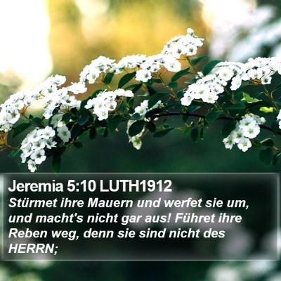 Jeremia 5:10 LUTH1912 Bible Verse Image