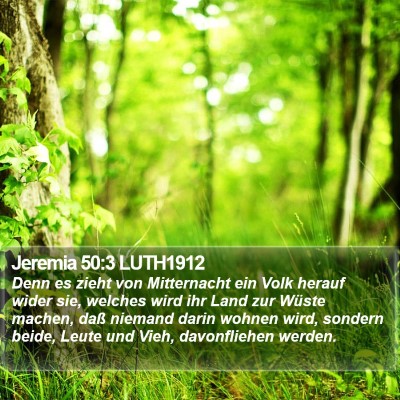 Jeremia 50:3 LUTH1912 Bible Verse Image