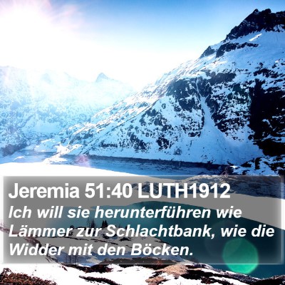 Jeremia 51:40 LUTH1912 Bible Verse Image