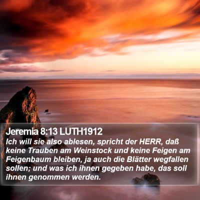 Jeremia 8:13 LUTH1912 Bible Verse Image