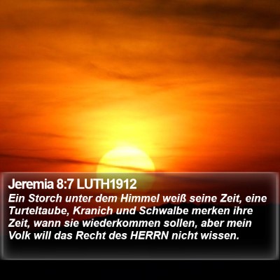 Jeremia 8:7 LUTH1912 Bible Verse Image