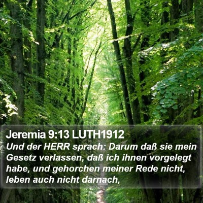 Jeremia 9:13 LUTH1912 Bible Verse Image