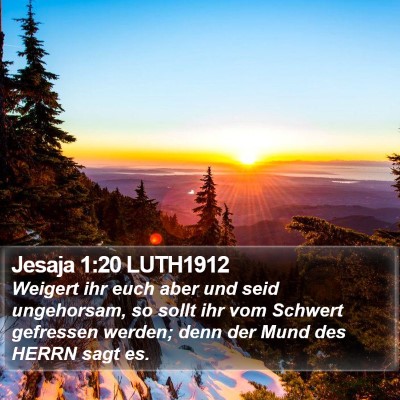 Jesaja 1:20 LUTH1912 Bible Verse Image