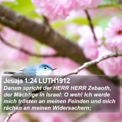 Jesaja 1:24 LUTH1912 Bible Verse Image