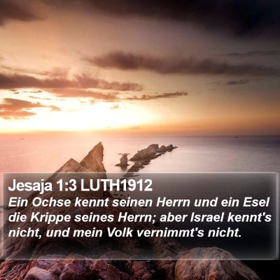 Jesaja 1:3 LUTH1912 Bible Verse Image