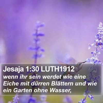 Jesaja 1:30 LUTH1912 Bible Verse Image