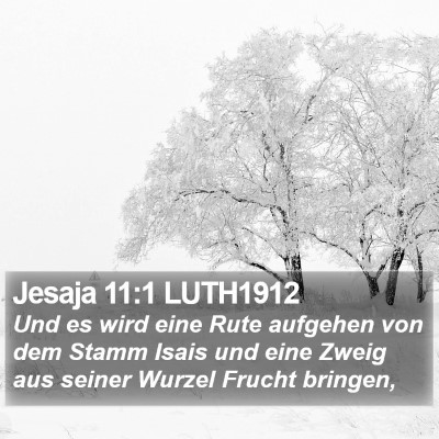 Jesaja 11:1 LUTH1912 Bible Verse Image