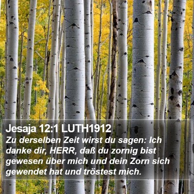 Jesaja 12:1 LUTH1912 Bible Verse Image