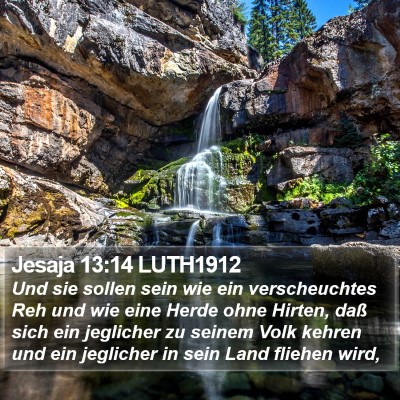 Jesaja 13:14 LUTH1912 Bible Verse Image