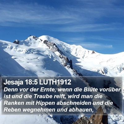 Jesaja 18:5 LUTH1912 Bible Verse Image