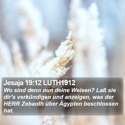 Jesaja 19:12 LUTH1912 Bible Verse Image