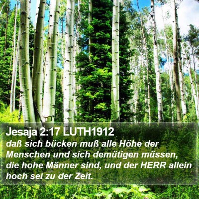 Jesaja 2:17 LUTH1912 Bible Verse Image