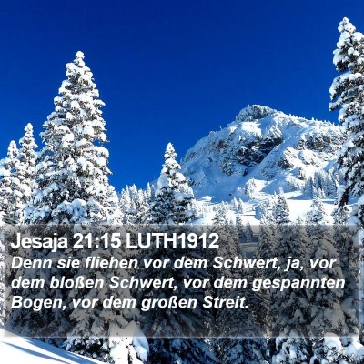Jesaja 21:15 LUTH1912 Bible Verse Image