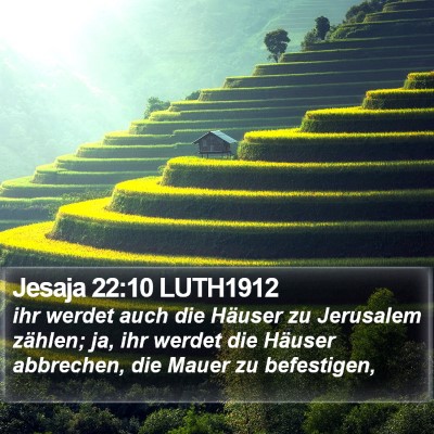Jesaja 22:10 LUTH1912 Bible Verse Image