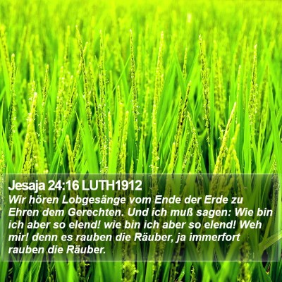 Jesaja 24:16 LUTH1912 Bible Verse Image