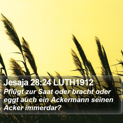 Jesaja 28:24 LUTH1912 Bible Verse Image