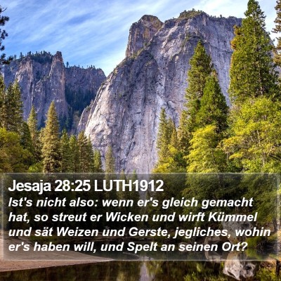 Jesaja 28:25 LUTH1912 Bible Verse Image