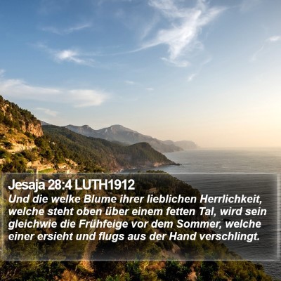 Jesaja 28:4 LUTH1912 Bible Verse Image