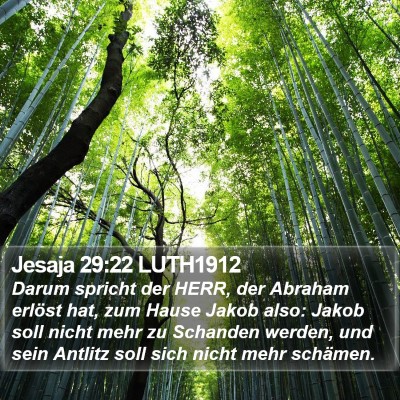 Jesaja 29:22 LUTH1912 Bible Verse Image