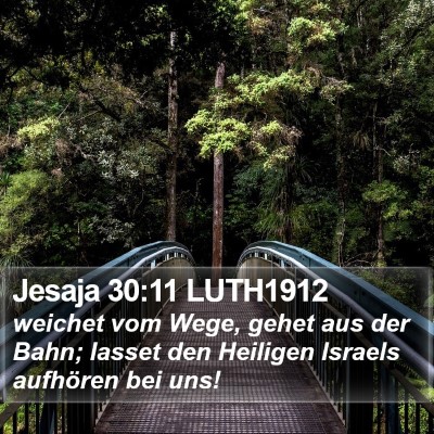 Jesaja 30:11 LUTH1912 Bible Verse Image