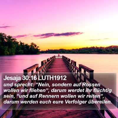 Jesaja 30:16 LUTH1912 Bible Verse Image
