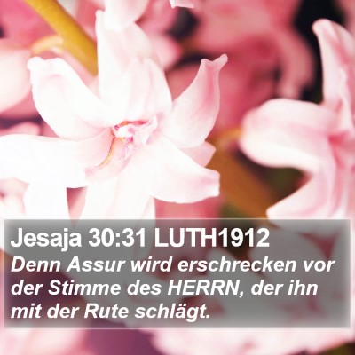 Jesaja 30:31 LUTH1912 Bible Verse Image