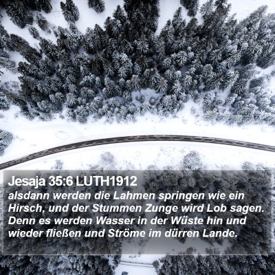 Jesaja 35:6 LUTH1912 Bible Verse Image