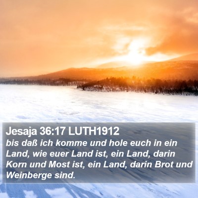 Jesaja 36:17 LUTH1912 Bible Verse Image