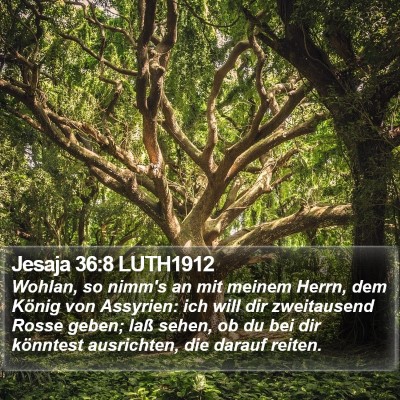 Jesaja 36:8 LUTH1912 Bible Verse Image
