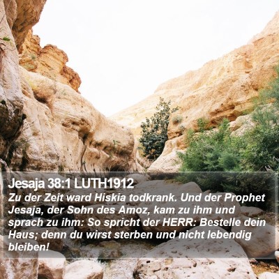 Jesaja 38:1 LUTH1912 Bible Verse Image