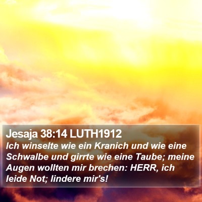 Jesaja 38:14 LUTH1912 Bible Verse Image