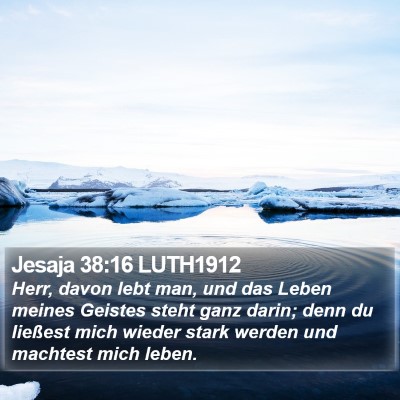 Jesaja 38:16 LUTH1912 Bible Verse Image