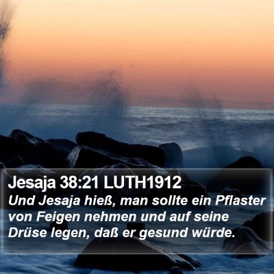 Jesaja 38:21 LUTH1912 Bible Verse Image