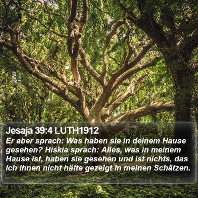 Jesaja 39:4 LUTH1912 Bible Verse Image